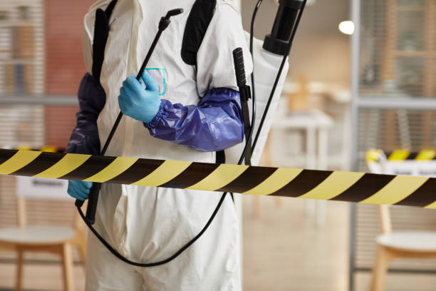 Professional Sewage Cleanup technician working in Quinault, WA